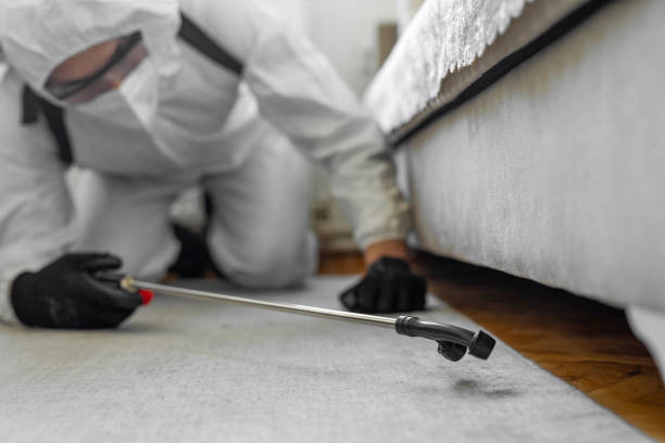 Professional Bed Bug Control technician working in Park Ridge, IL